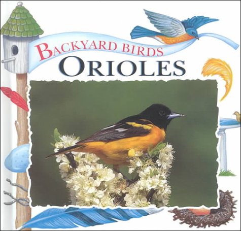 Cover of Orioles