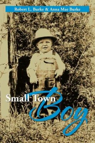 Cover of Small Town Boy