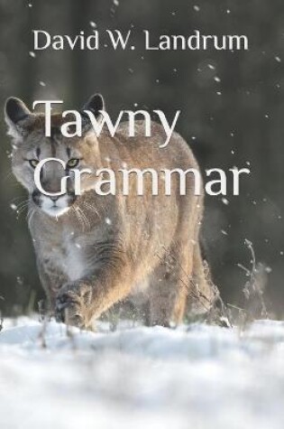 Cover of Tawny Grammar