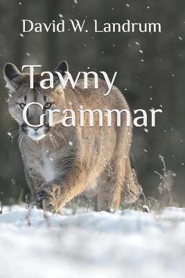 Book cover for Tawny Grammar
