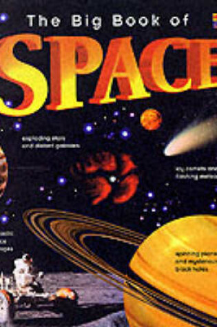 Cover of The Big Book of Space