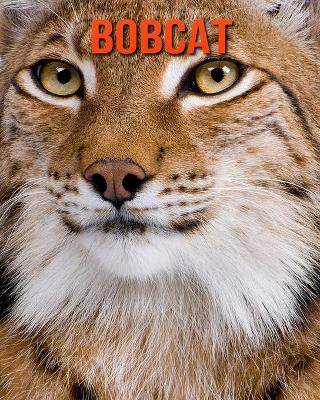 Book cover for Bobcat