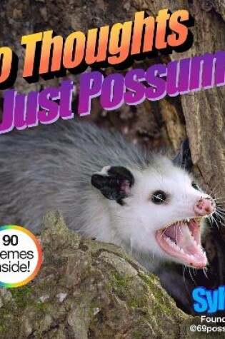 Cover of No Thoughts Just Possums