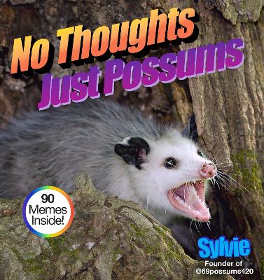 Book cover for No Thoughts Just Possums