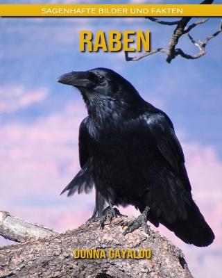 Book cover for Raben