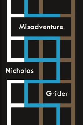 Book cover for Misadventure