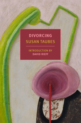 Cover of Divorcing