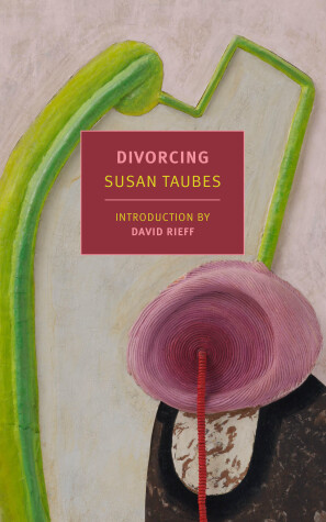 Book cover for Divorcing