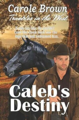 Cover of Caleb's Destiny
