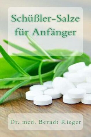 Cover of Schussler-Salze Fur Anfanger