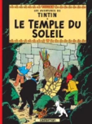Book cover for Le Temple du Soleil
