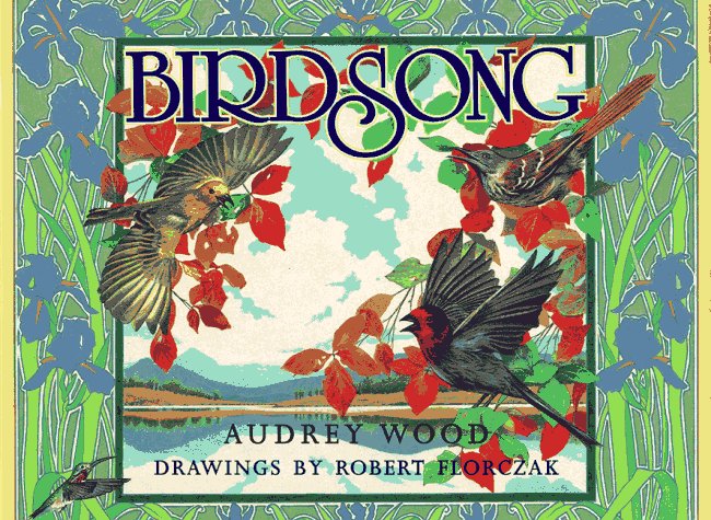 Book cover for Birdsong