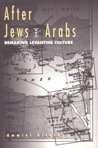 Cover of After Jews And Arabs