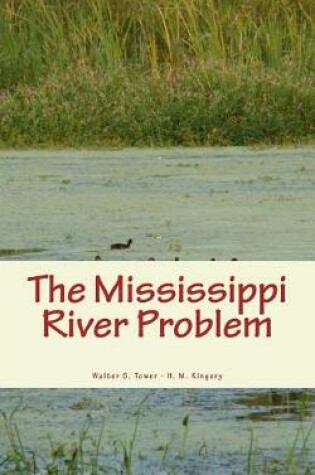 Cover of The Mississippi River Problem