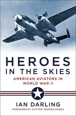 Book cover for Heroes in the Skies