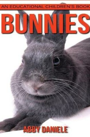 Cover of Bunnies! An Educational Children's Book about Bunnies with Fun Facts & Photos