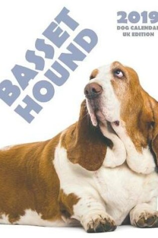 Cover of Basset Hound 2019 Dog Calendar (UK Edition)