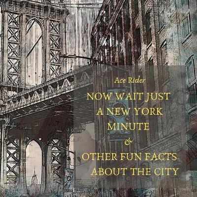 Cover of Now Wait Just a New York Minute & Other Fun Facts about the City