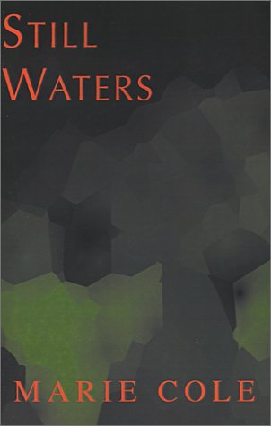 Book cover for Still Waters