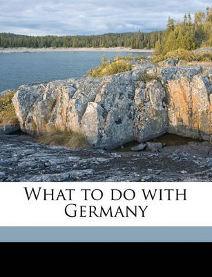 Book cover for What to Do with Germany