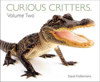 Book cover for Curious Critters Volume Two