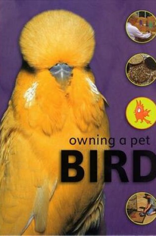 Cover of Bird