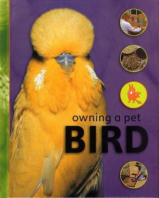 Cover of Bird