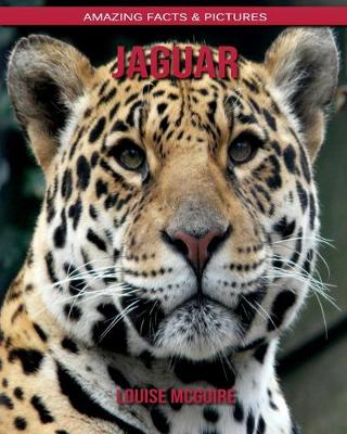 Book cover for Jaguar