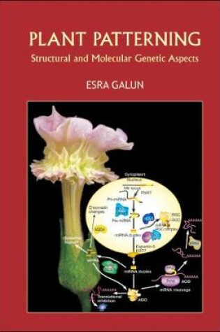 Cover of Plant Patterning: Structural And Molecular Genetic Aspects