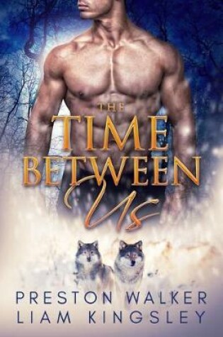 Cover of The Time Between Us