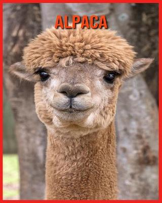 Book cover for Alpaca