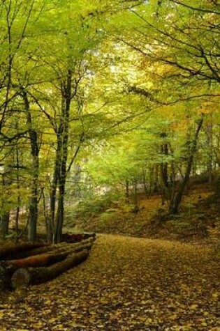 Cover of An Autumn Path in the Woods