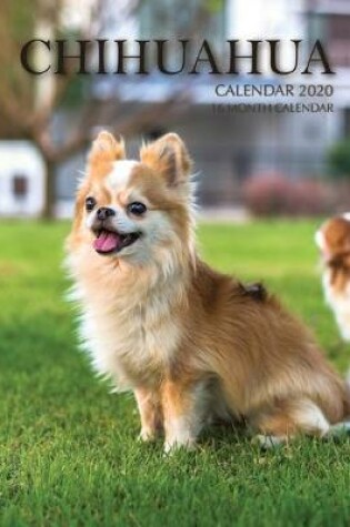 Cover of Chihuahua Calendar 2020