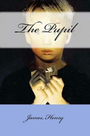 Cover of The Pupil