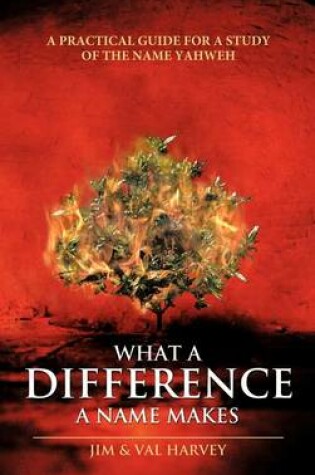 Cover of What a Difference a Name Makes