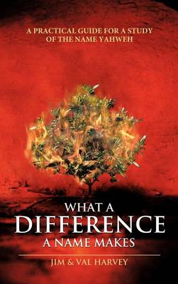 Book cover for What a Difference a Name Makes