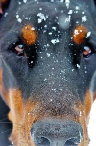 Cover of Doberman Pinscher in the Snow, for the Love of Dogs