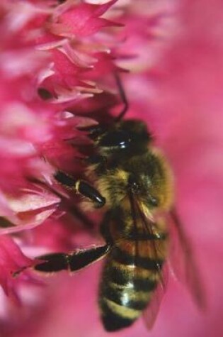 Cover of Bee on a Pink Dahlia Flower Journal