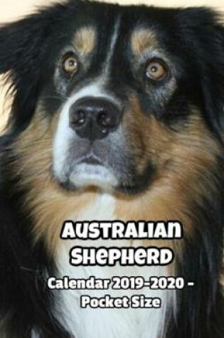 Cover of Australian Shepherd Calendar 2019-2020 - Pocket Size