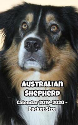 Book cover for Australian Shepherd Calendar 2019-2020 - Pocket Size