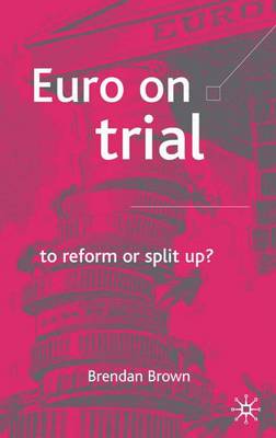 Book cover for Euro on Trial