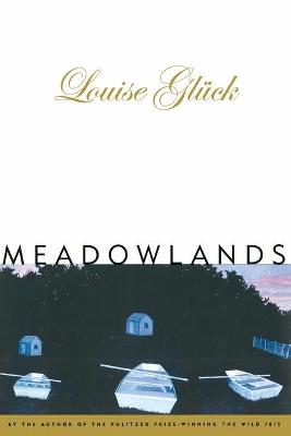 Book cover for Meadowlands (Paper)