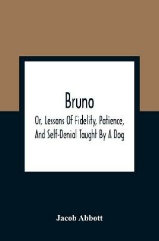 Cover of Bruno; Or, Lessons Of Fidelity, Patience, And Self-Denial Taught By A Dog