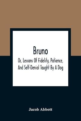 Book cover for Bruno; Or, Lessons Of Fidelity, Patience, And Self-Denial Taught By A Dog