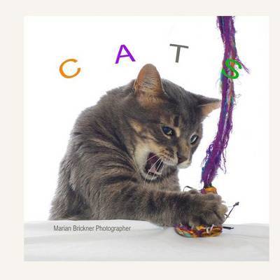 Book cover for Cats