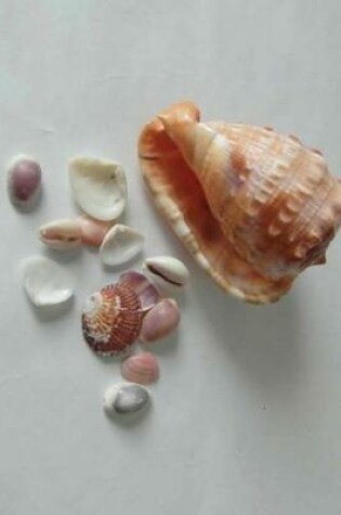 Cover of Sea Shells Notebook