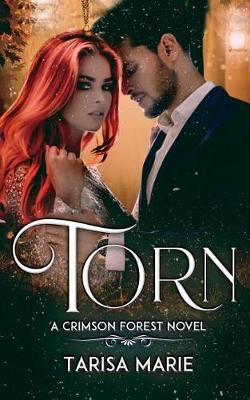 Book cover for Torn