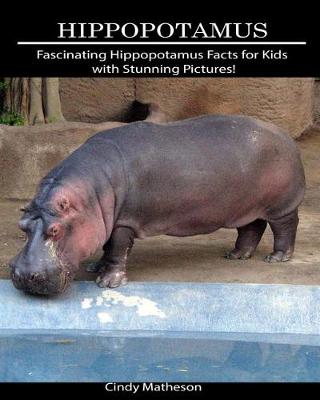 Book cover for Hippopotamus