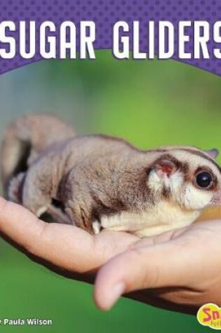 Cover of Sugar Gliders