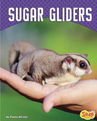 Cover of Sugar Gliders